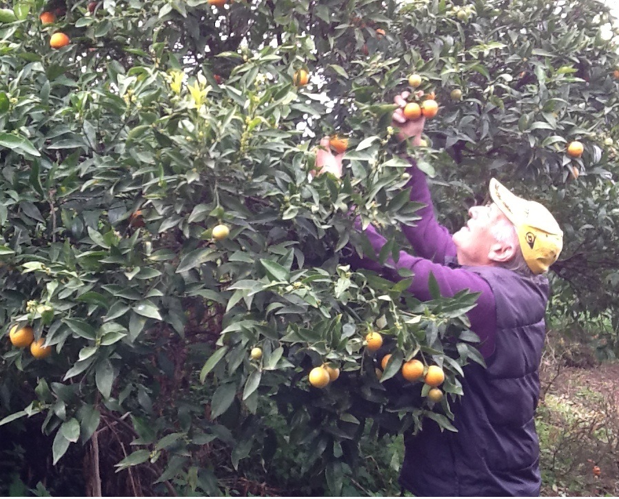 Tasting while discovering our crops Le terre di zoè 3